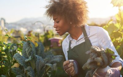 Ep. 158: Gary Pilarchik — Growing Your Physical and Mental Health in Your Modern Homestead Garden